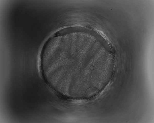 X0000087520342200705181016