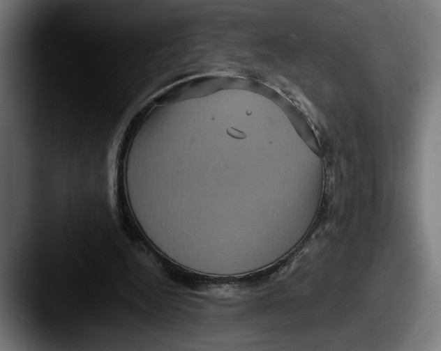 X0000087520344200705181016