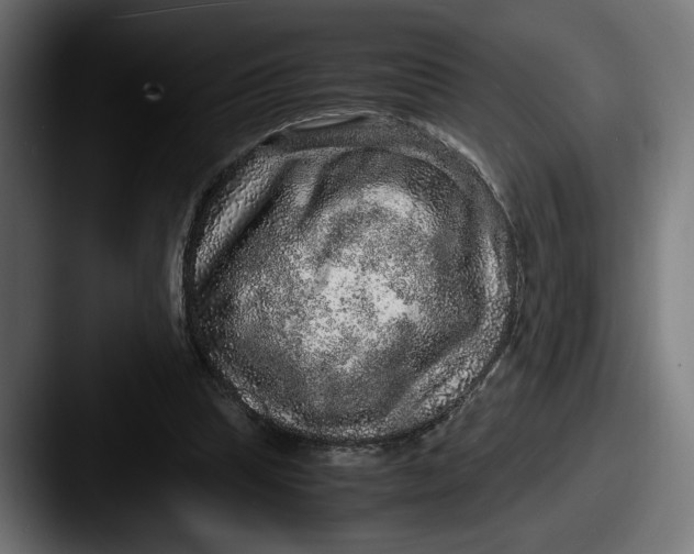 X0000087520345200705181016