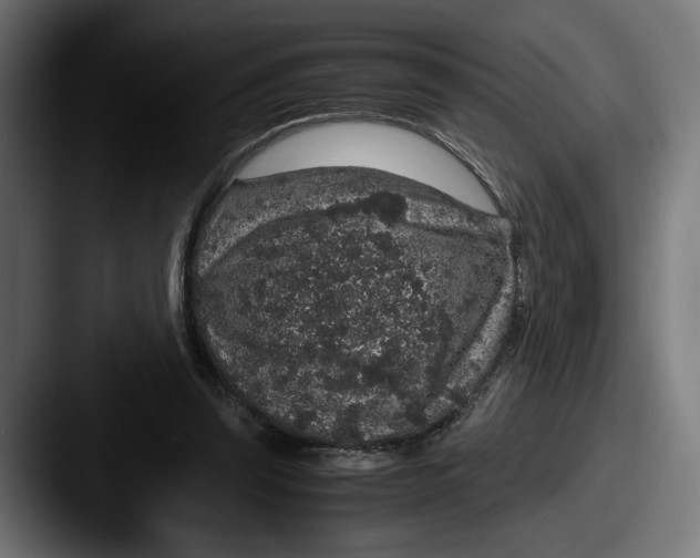 X0000087520347200705181016