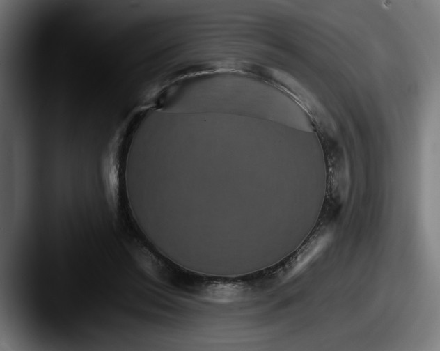 X0000087520350200705181016