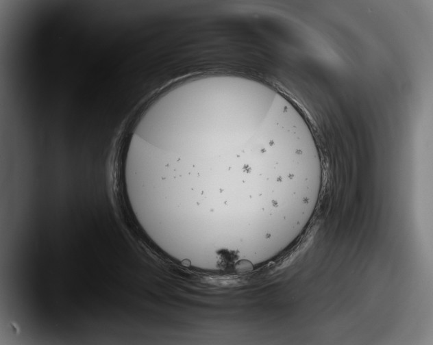 X0000087520351200705181016