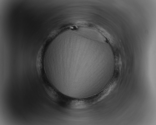 X0000087520354200705181016