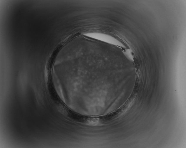 X0000087520355200705181016