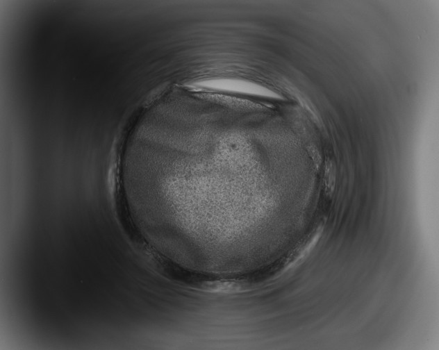 X0000087520356200705181016