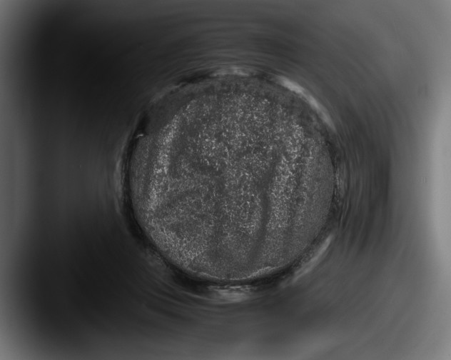 X0000087520359200705181016