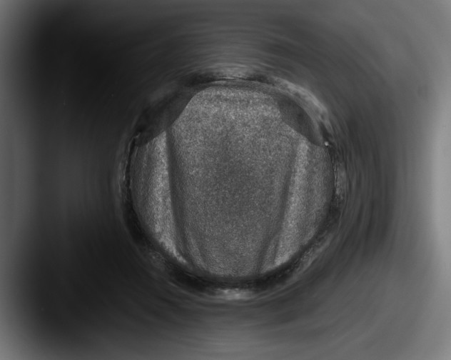 X0000087520360200705181016