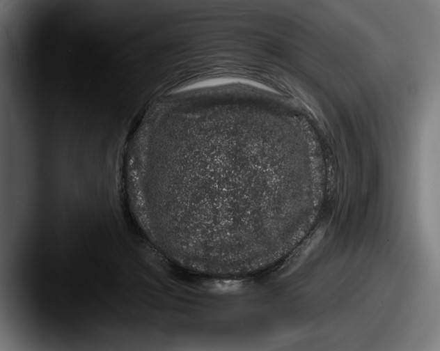 X0000087520361200705181016