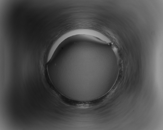 X0000087520362200705181016