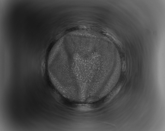 X0000087520363200705181016