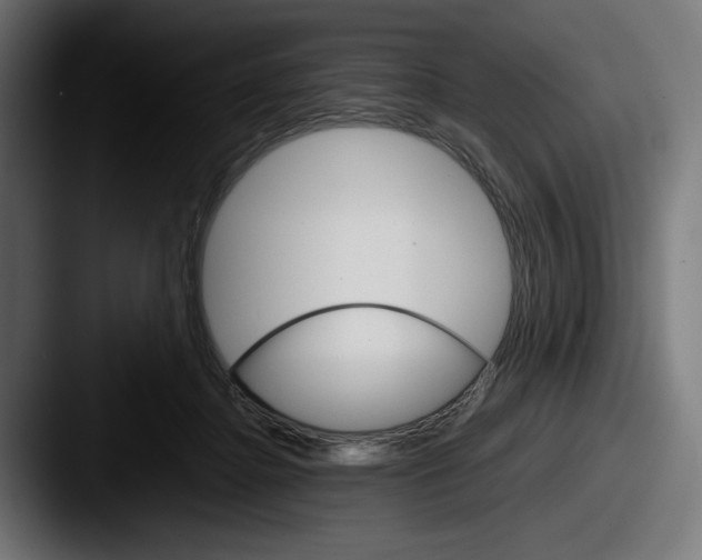 X0000087520364200705181016