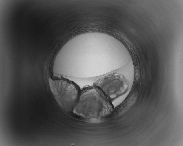 X0000087520365200705181017