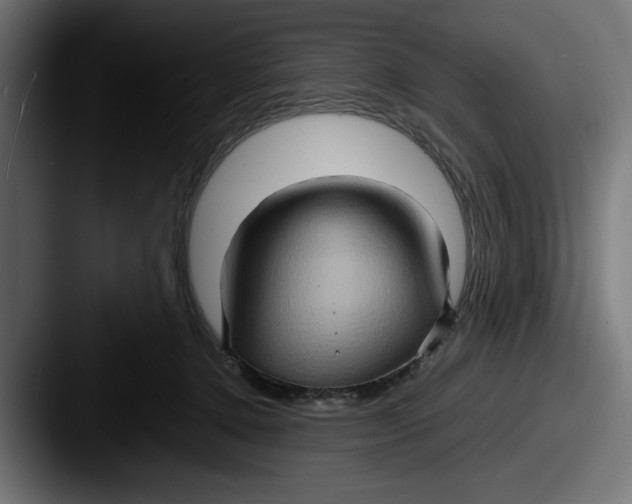 X0000087520368200705181017