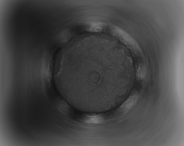 X0000087520370200705181017