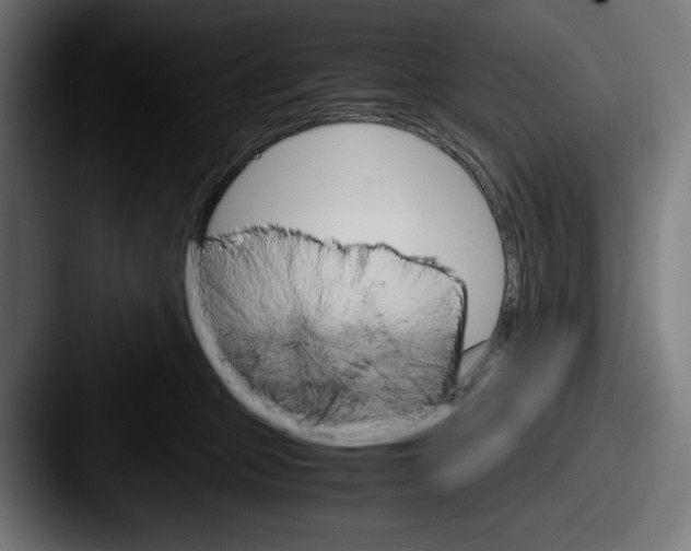 X0000087520373200705181017