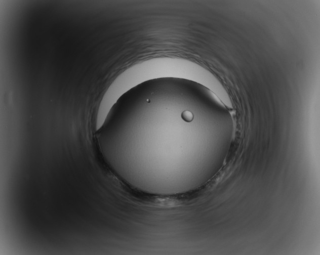 X0000087520376200705181017