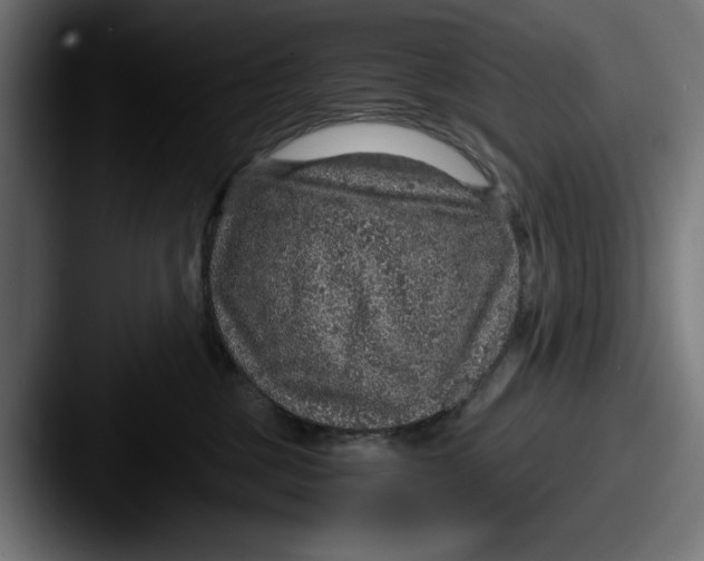 X0000087520377200705181017