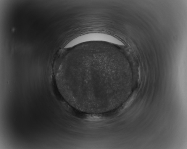 X0000087520380200705181017