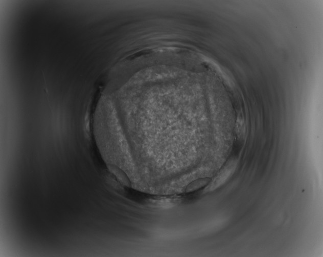 X0000087520381200705181017