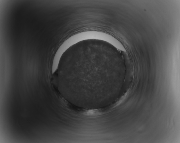 X0000087520382200705181017