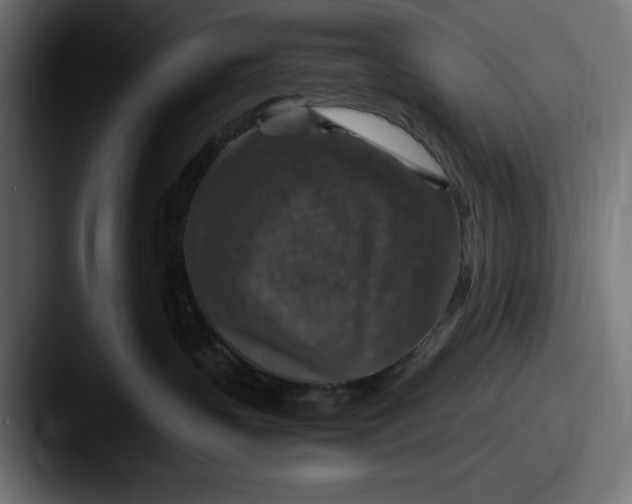 X0000087520383200705181017