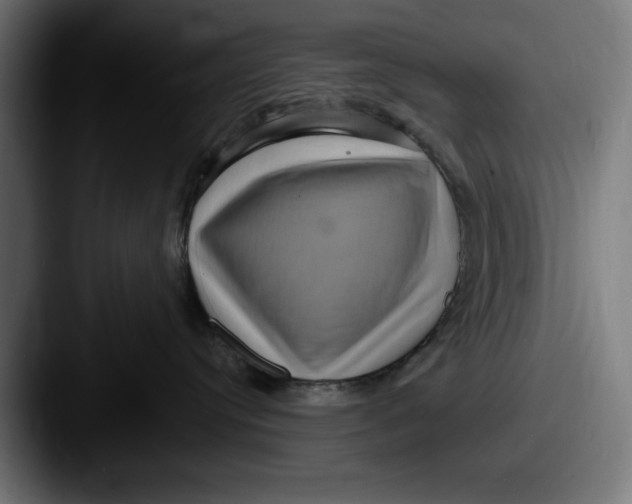 X0000087520384200705181017