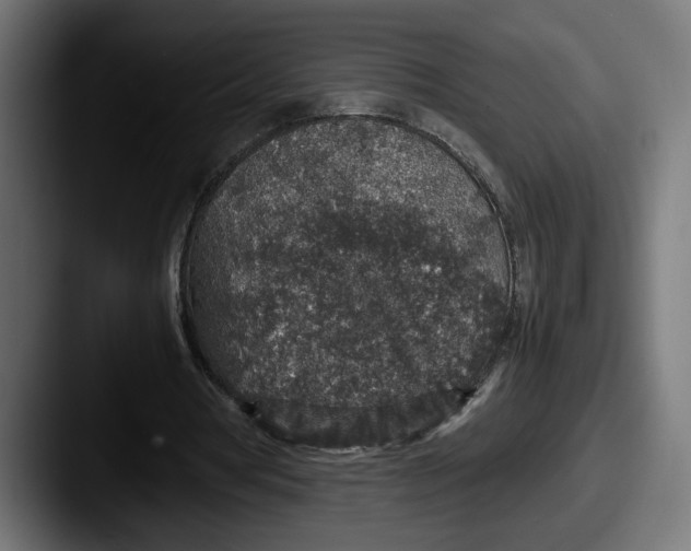 X0000087520386200705181016