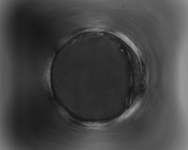 X0000087520389200705181016