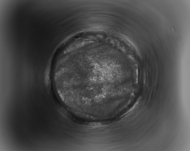 X0000087520392200705181016