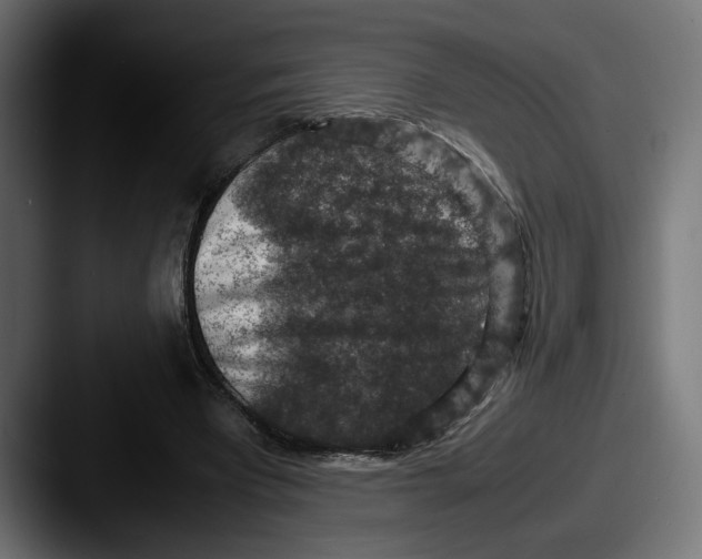 X0000087520393200705181016