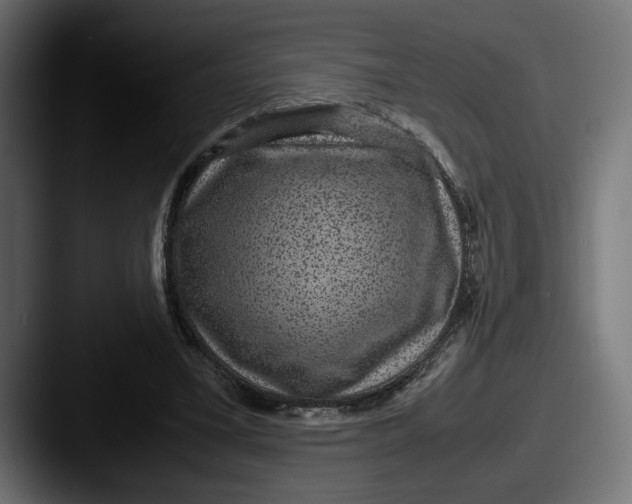 X0000087520395200705181016