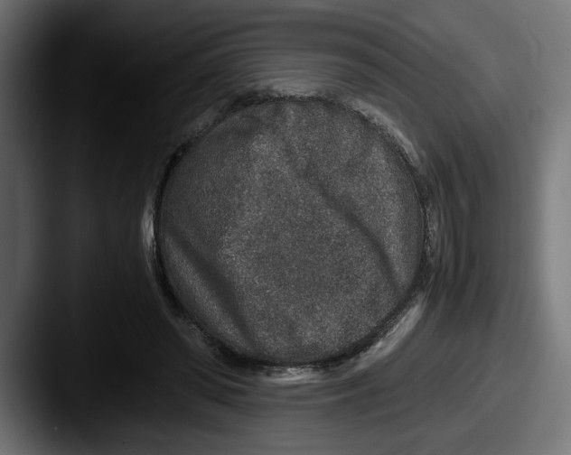 X0000087520398200705181016