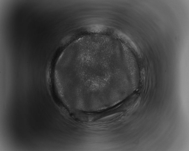 X0000087520400200705181016