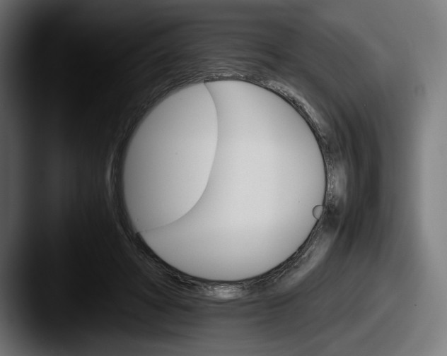 X0000087520402200705181016