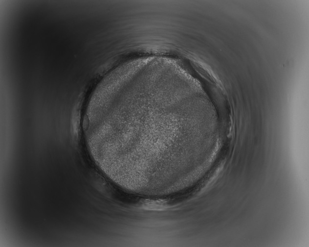 X0000087520403200705181016