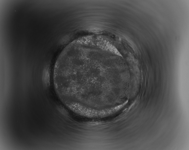 X0000087520404200705181016