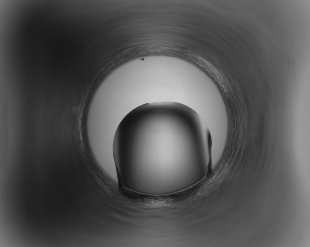 X0000087520405200705181016