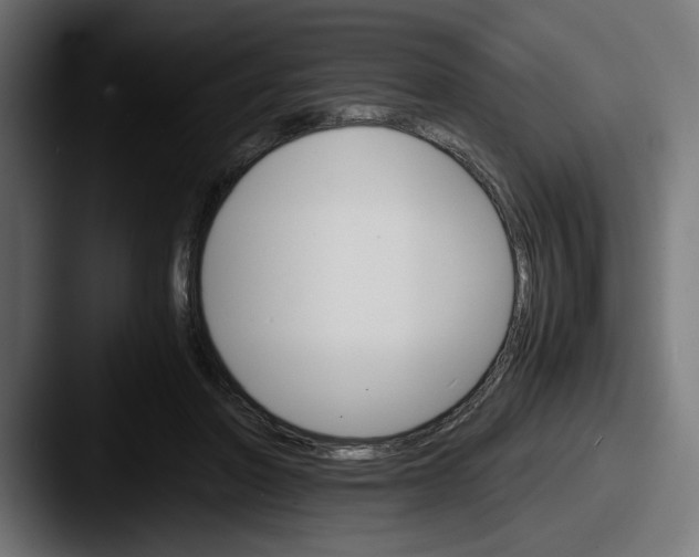 X0000087520406200705181016