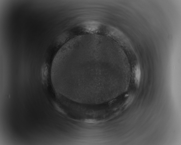 X0000087520412200705181016