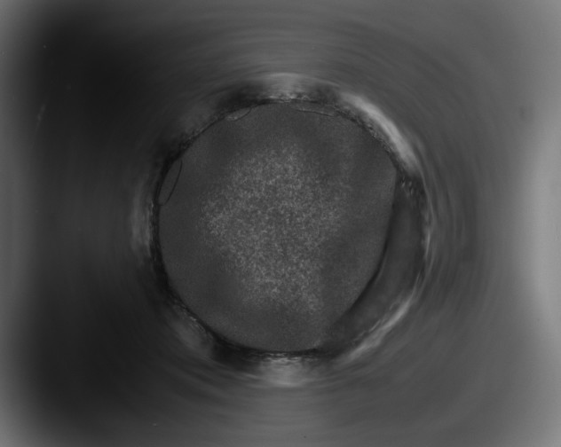 X0000087520413200705181016