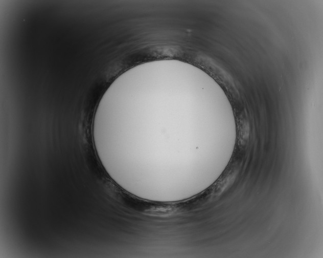 X0000087520414200705181016