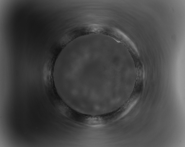 X0000087520415200705181016