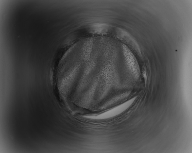 X0000087520416200705181016