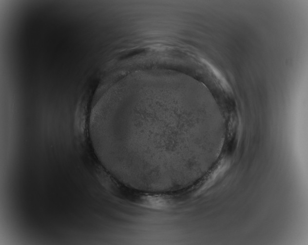 X0000087520417200705181016