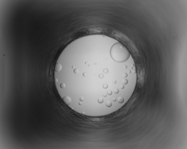 X0000087520418200705181016