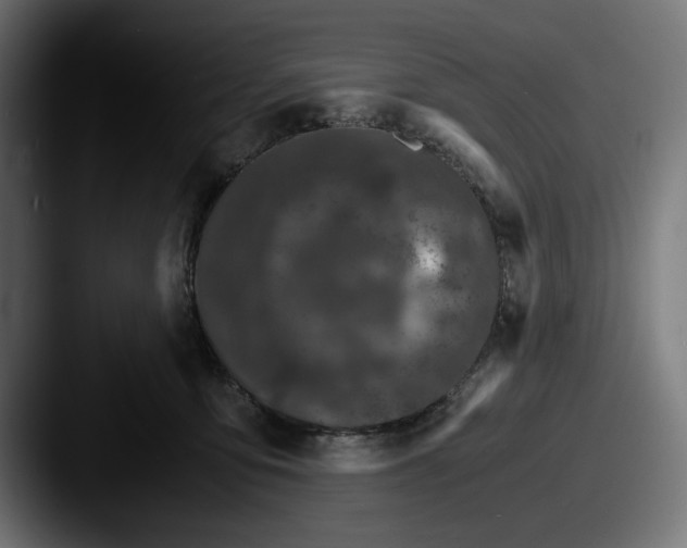 X0000087520419200705181016