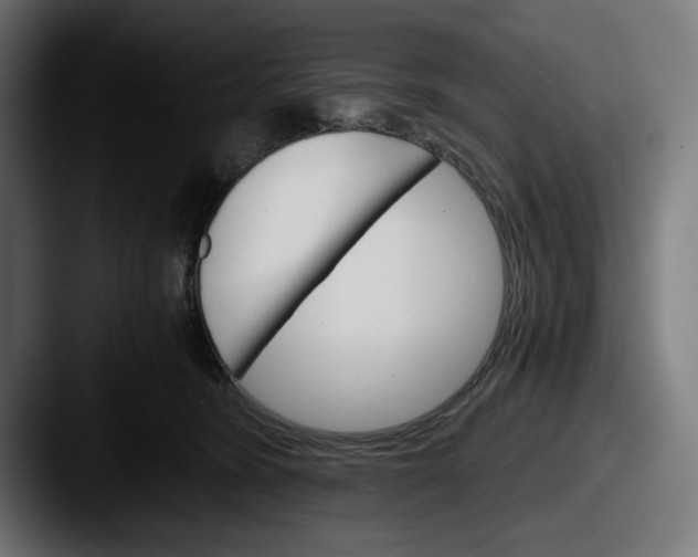 X0000087520420200705181016