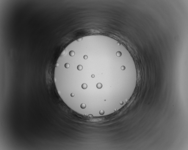 X0000087520422200705181016