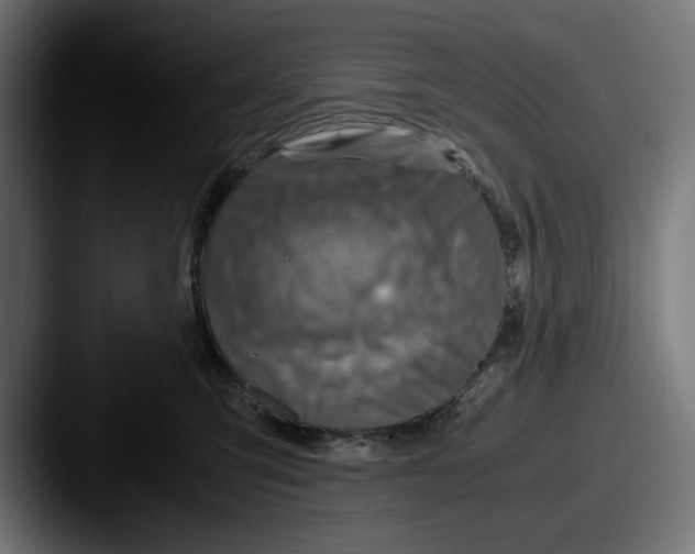 X0000087520423200705181016