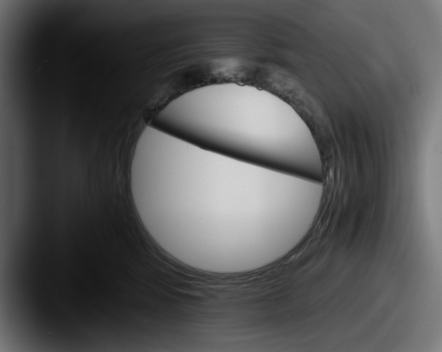 X0000087520424200705181016